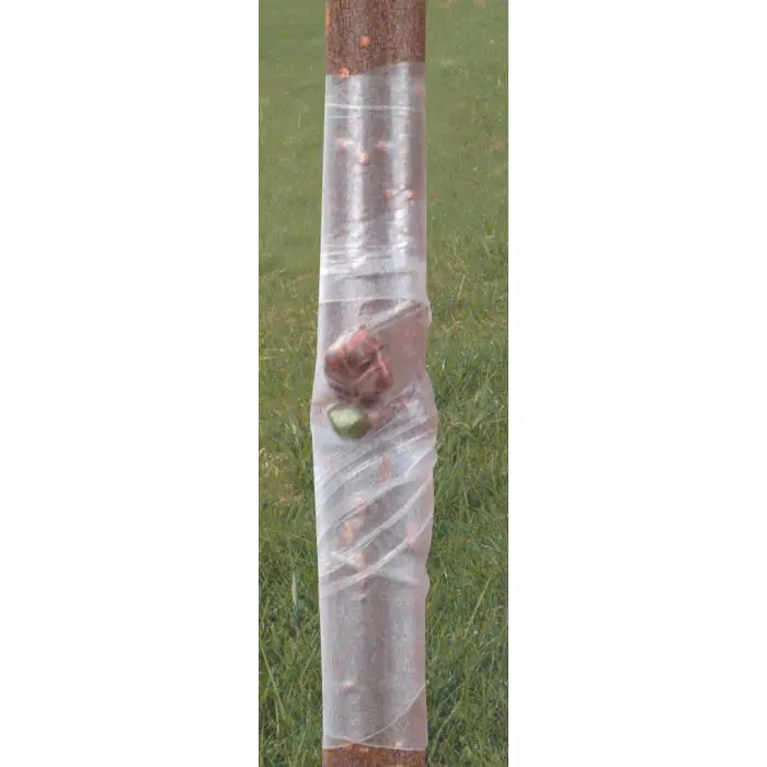 A.M. Leonard BT25 Perforated Budding Tape, 2-3/4 in L, 1 in W, Paraffin/Rubber - 3