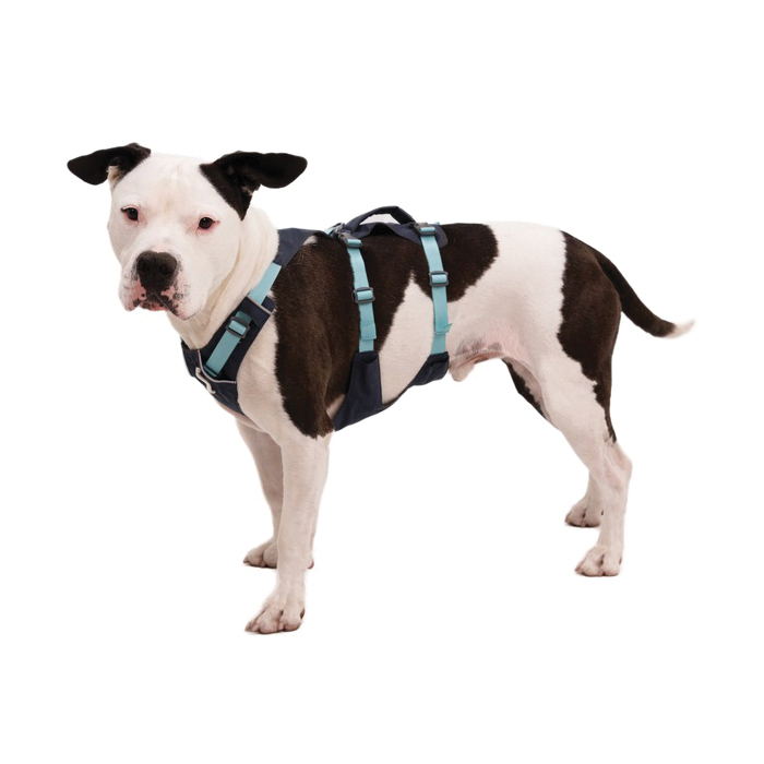 Ruffwear Flagline Series 30551-042-S Multi-Use Dog Harness with Handle, S, Buckle, Polyester, 22 to 27 in Harness - 3