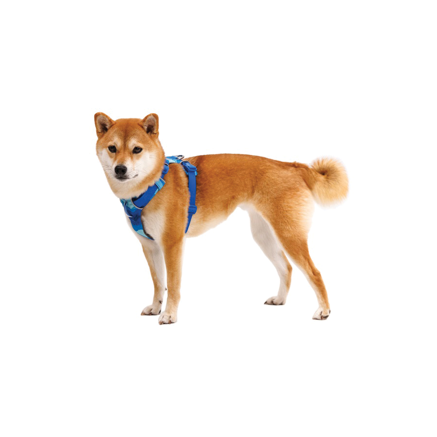 Ruffwear Front Range Series 30503-973-S Dog Harness, S, Buckle, Polyester, 22 to 27 in Harness, Coastal Mountains - 2
