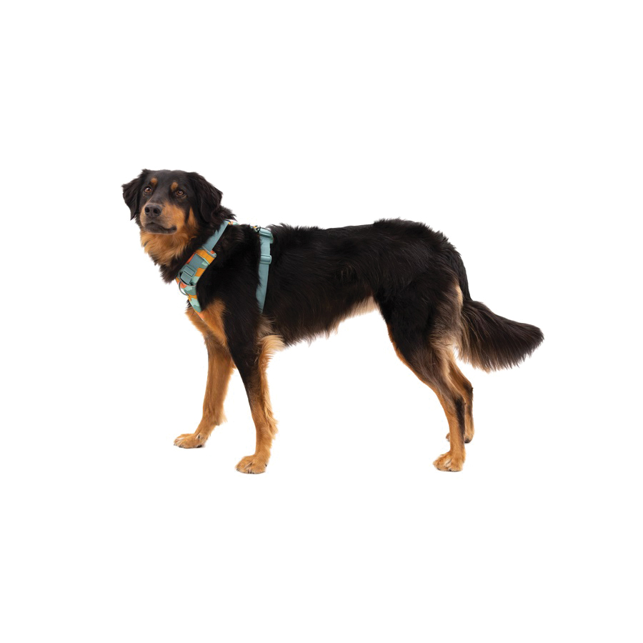 Ruffwear Front Range Series 30503-968-S Dog Harness, S, Buckle, Polyester, 22 to 27 in Harness, Spring Mountains - 4