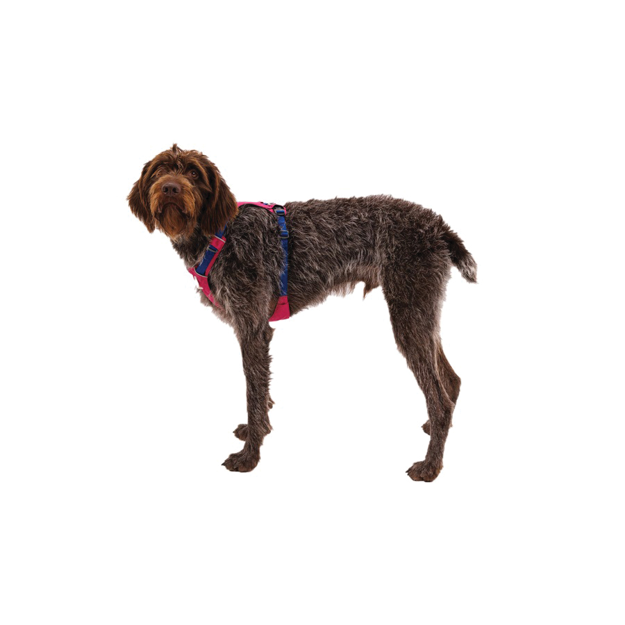 Ruffwear Hi & Light Series 30821-655-2XS Lightweight Dog Harness, 2XS, Buckle, Polyester, 13 to 17 in Harness - 4