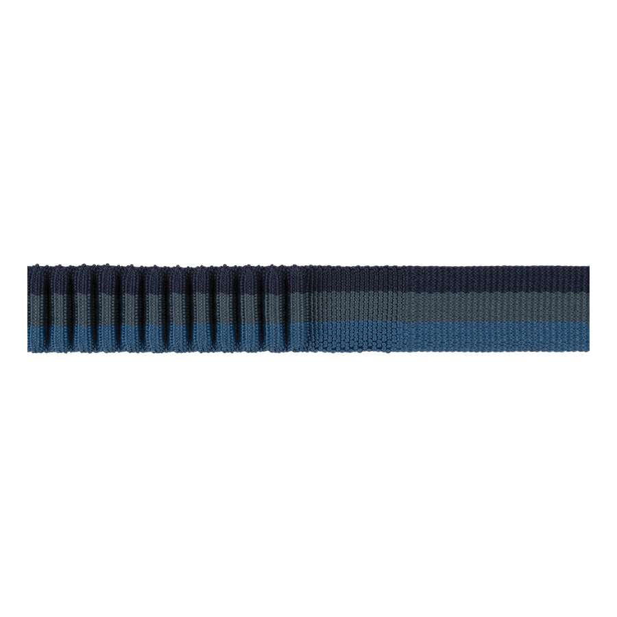 Ruffwear Roamer 40356-48073 Bungee Dog Leash, 7.3 to 11 ft L, 1 in W, Polyester, Orion Blue, Buckle - 2