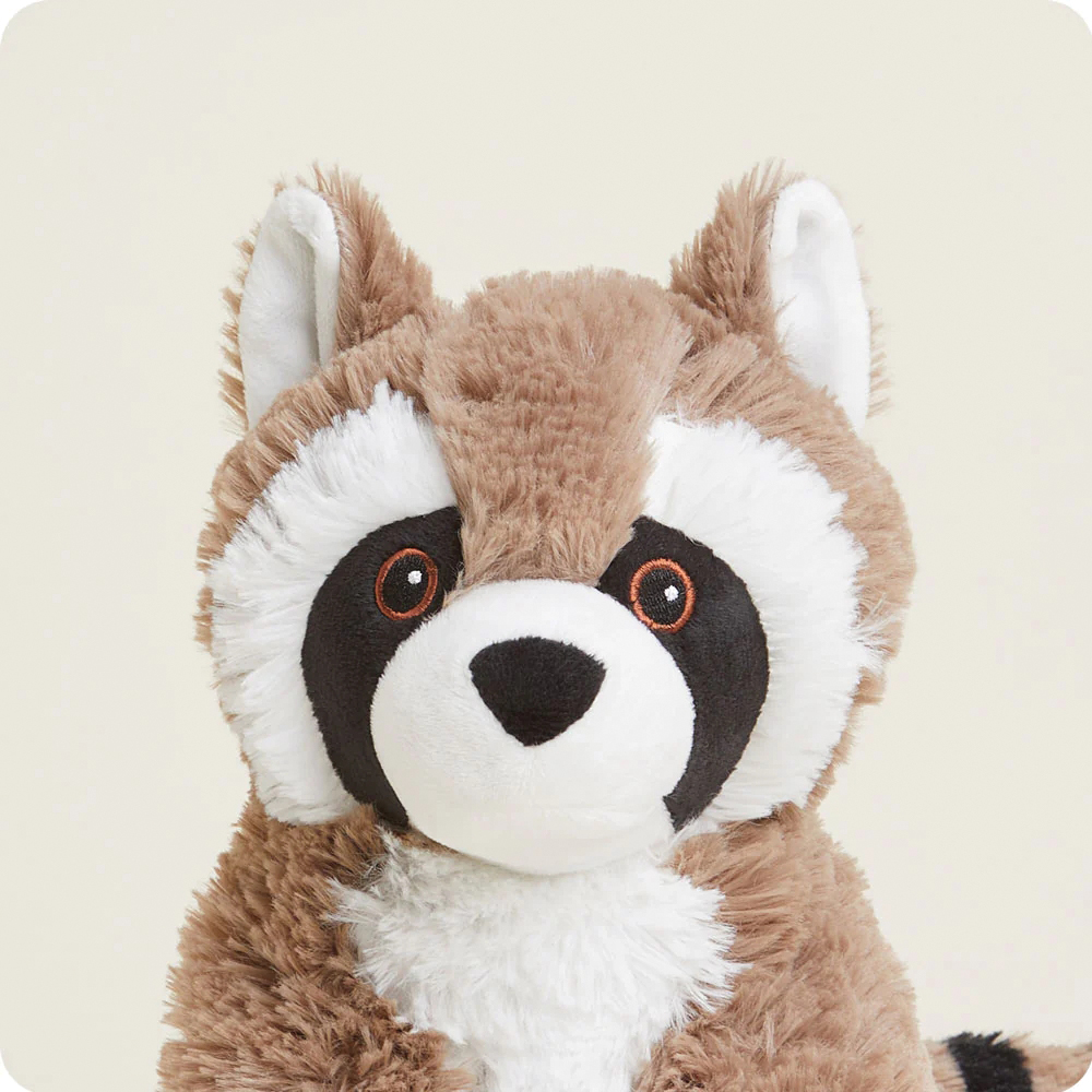 Warmies CP-RAC-1 Raccoon Toy, All - 2