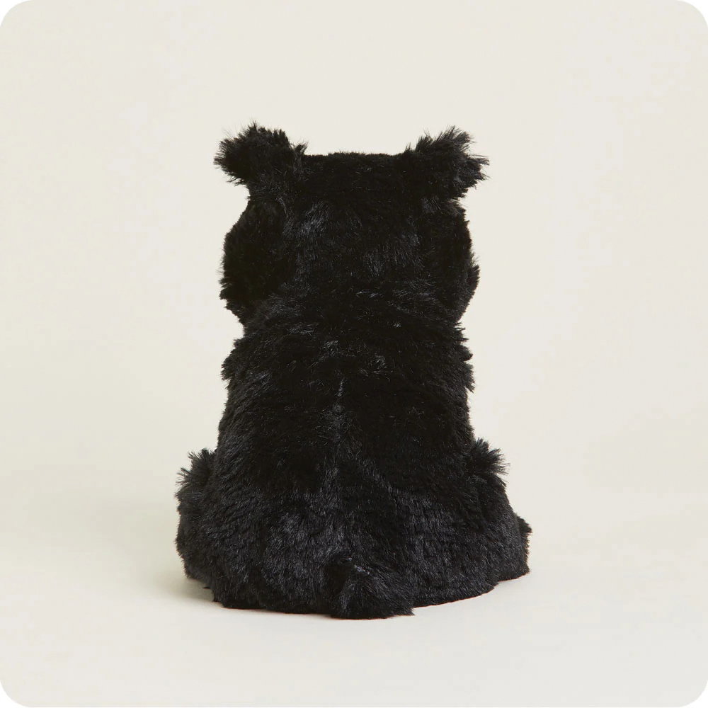 Warmies CPJ-BEA-4 Junior Bear Toy, All, Black - 5