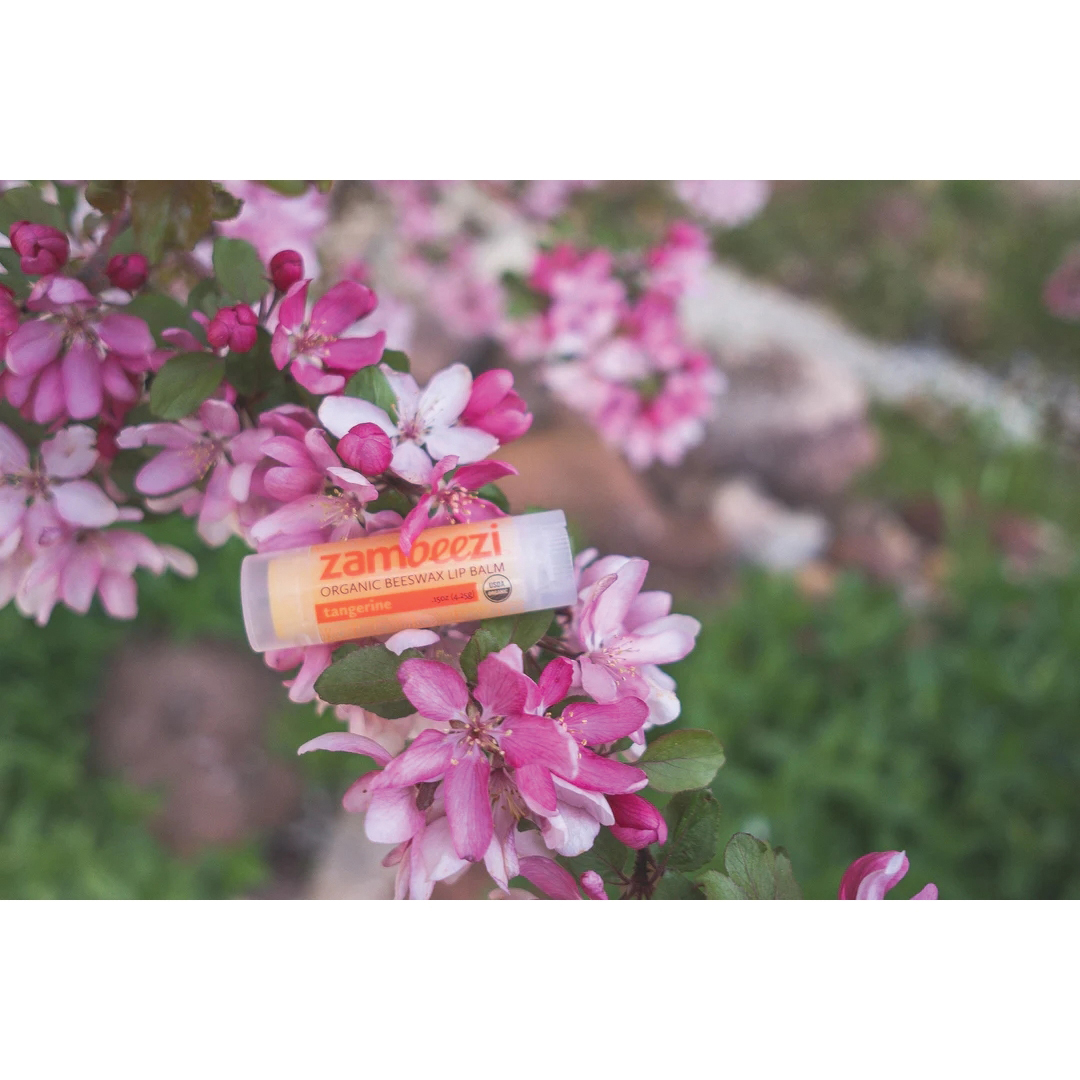 Zambeezi 16154 Lip Balm, Tangerine, 0.15 oz, Tube - 2