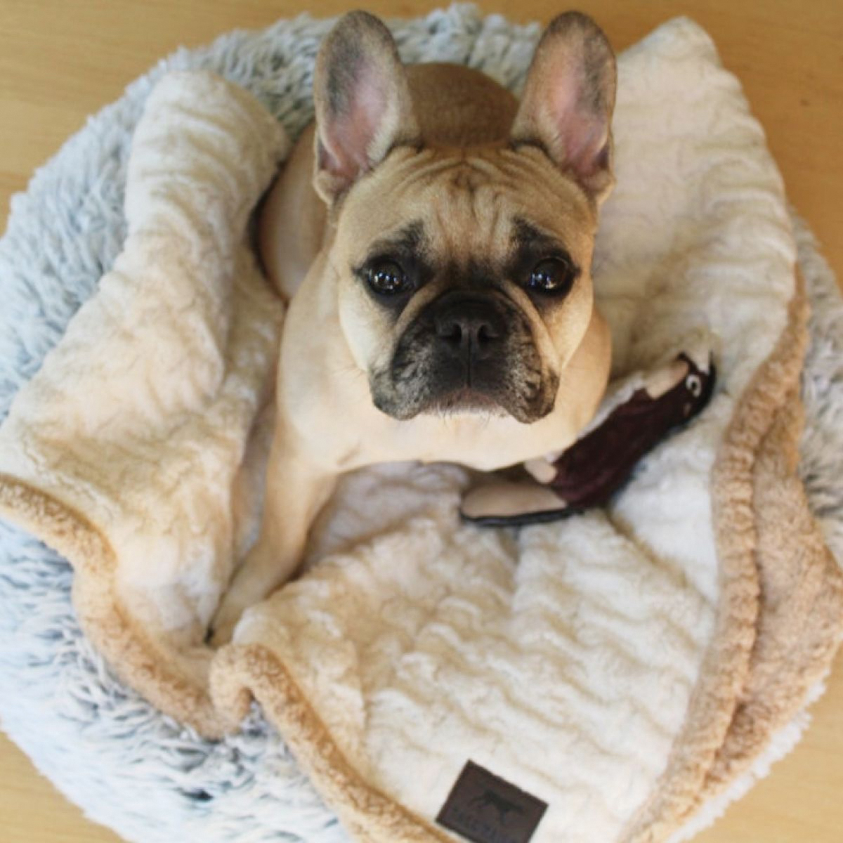 Tall Tails Dream Chaser Series P74303 Cuddle Bed, 36 in L, 36 in W, Donut, Microfiber/Polyester - 4
