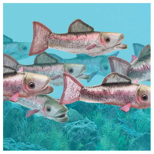 Folkmanis 2788 Finger Puppet, Rainbow Mini Trout - 5