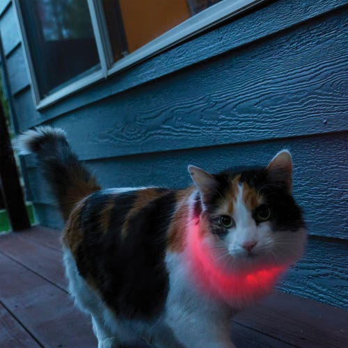 Nite Ize NiteMeow Series NHOMRC-07S-R3 Rechargeable Safety Necklace, Polymer, Clear - 3