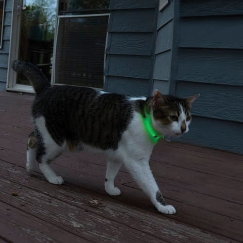 Nite Ize NiteMeow Series NHOMRC-07S-R3 Rechargeable Safety Necklace, Polymer, Clear - 4