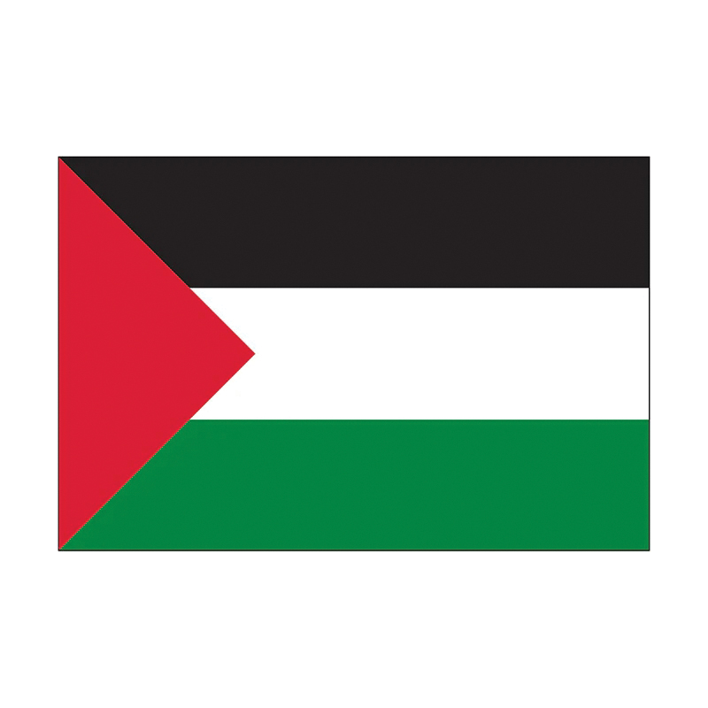 Eder Flag 033184 Palestine Flag, 3 ft W, 2 ft H, Nylon - 2