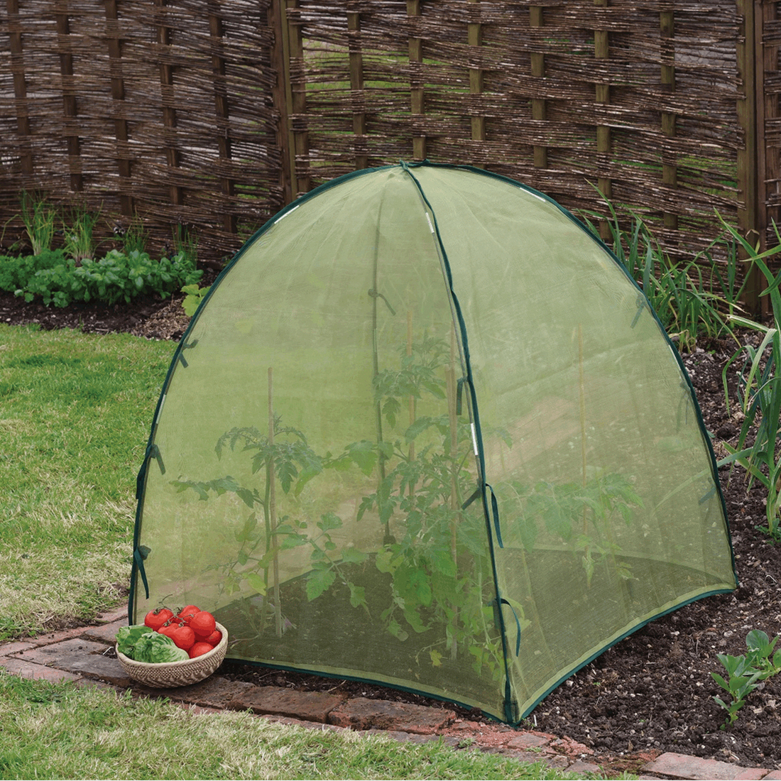 Haxnicks 50-2028 Easy Micromesh Dome, Polyethylene - 3
