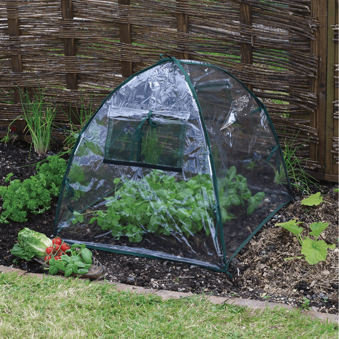 Haxnicks 50-2020 Easy Dome, Polyethylene - 3