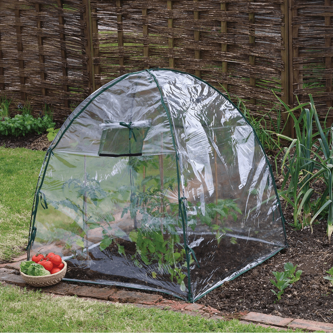 Haxnicks 50-2022 Easy Dome, Polyethylene - 3
