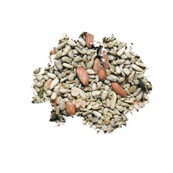 Wild Delight Porch N Patio 374050 Hulled Pumpkin Seed Bird Food, 5 lb, Bag - 2