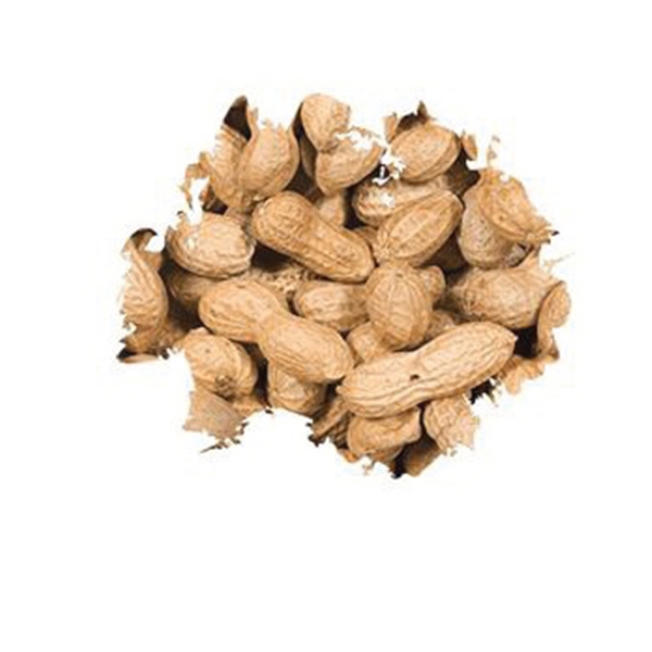 Wild Delight Assorted Species In-Shell Peanuts Wild Bird Food 5 lb - 1