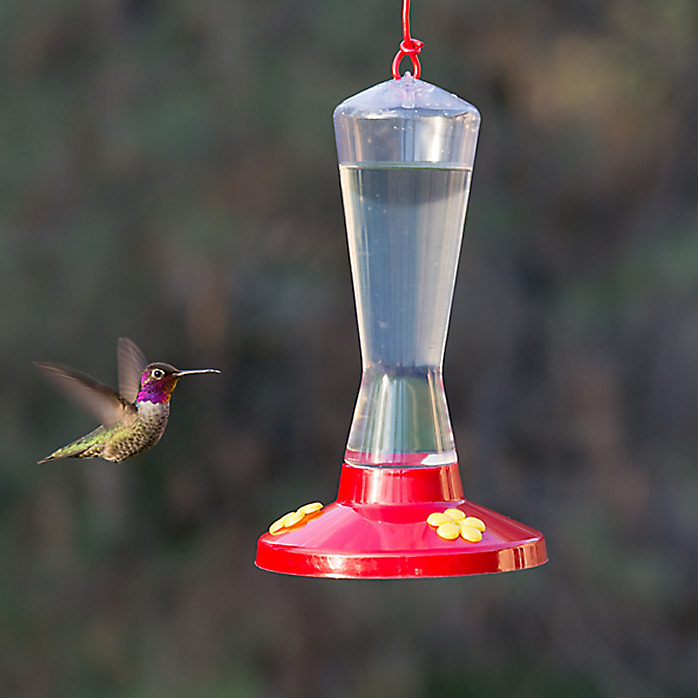 Perky-Pet 211 Bird Feeder, Pinch Waist, 8 oz, Nectar, 3-Port/Perch, Plastic, Clear/Red, Hang Mounting - 3