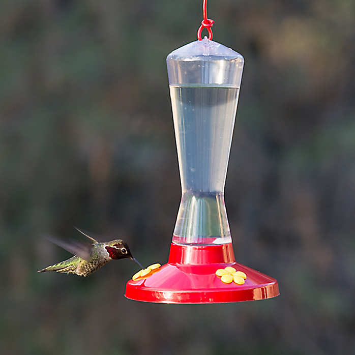 Perky-Pet 211 Bird Feeder, Pinch Waist, 8 oz, Nectar, 3-Port/Perch, Plastic, Clear/Red, Hang Mounting - 4