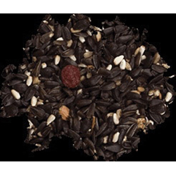 Wild Delight 377080 Dried Raisins Songbird Food, 8 lb, Bag - 2