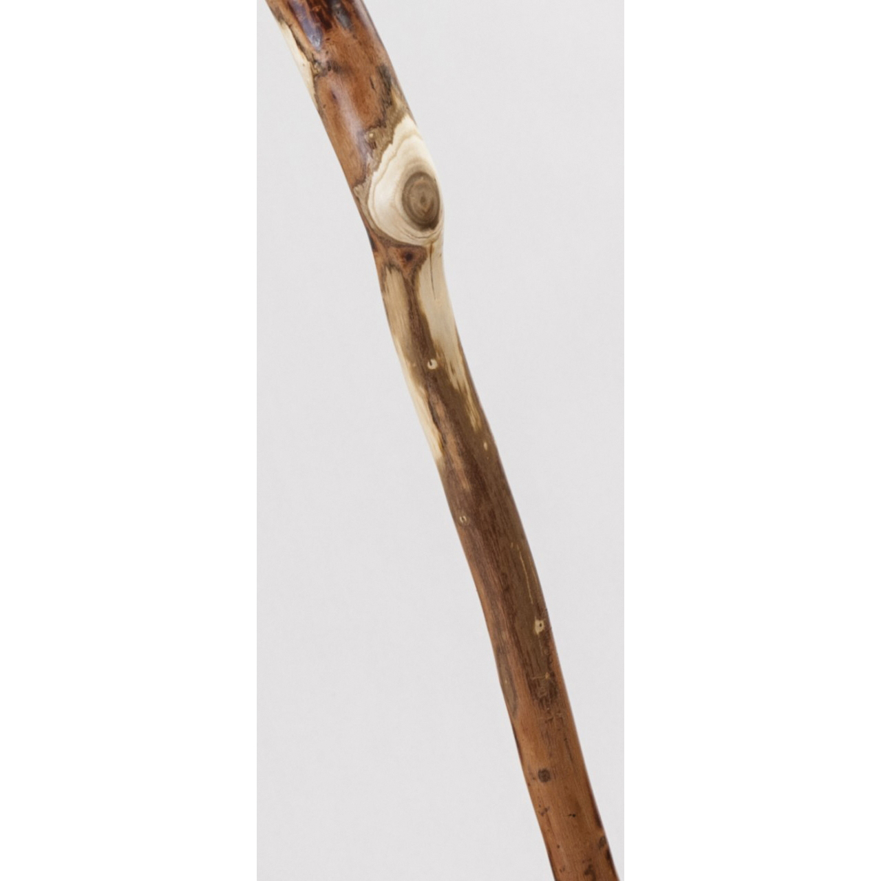 Brazos 502-3000-0138 Rustic Root Cane, 37 in H Cane, Standard Handle, Wood Handle, Hardwood, Root, Lacquer - 3