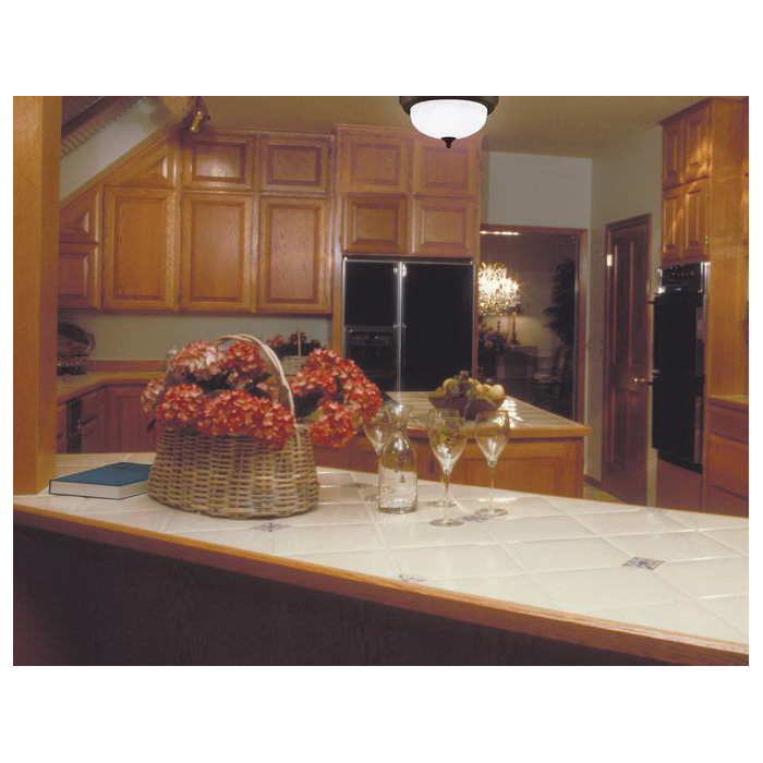 Westinghouse 64291 Flush Mount Ceiling Fixture, 2-Lamp, Oil-Rubbed Bronze Fixture - 2