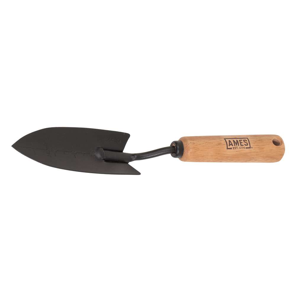Ames 2446200