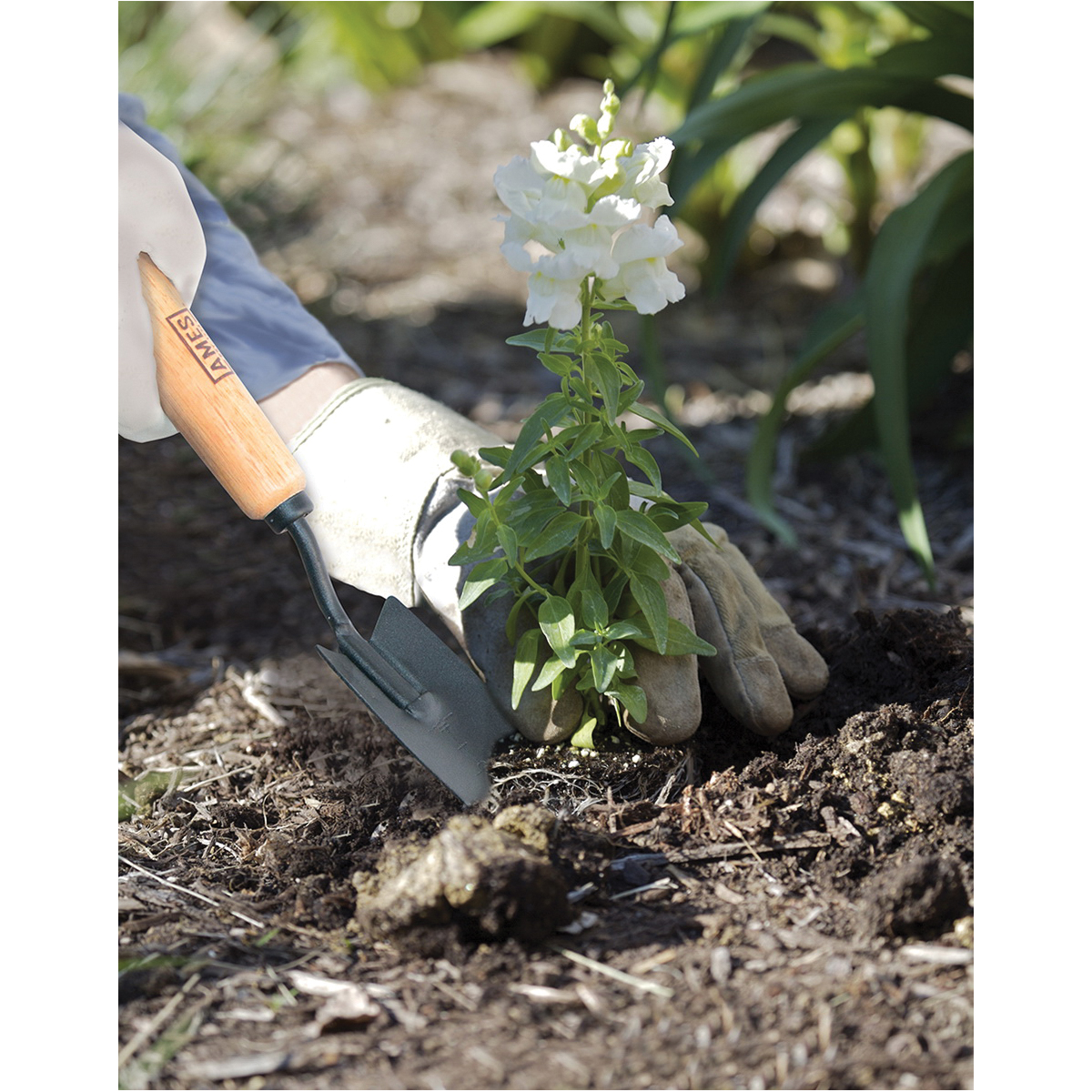 Ames 2446200 Hand Transplanter, Steel Blade, Wood Handle, 12.8 in OAL - 2