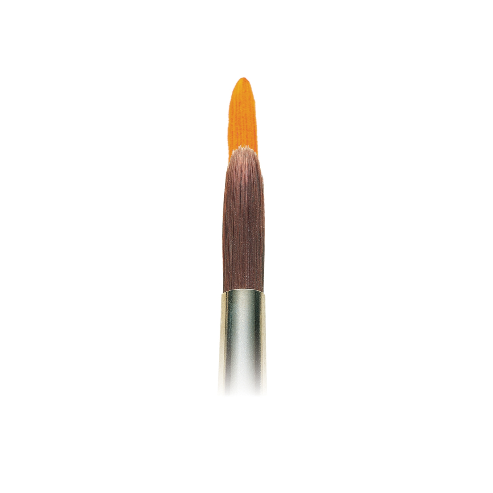 Winsor & Newton Galeria 5734012 Brush, #12, Synthetic Bristle - 1
