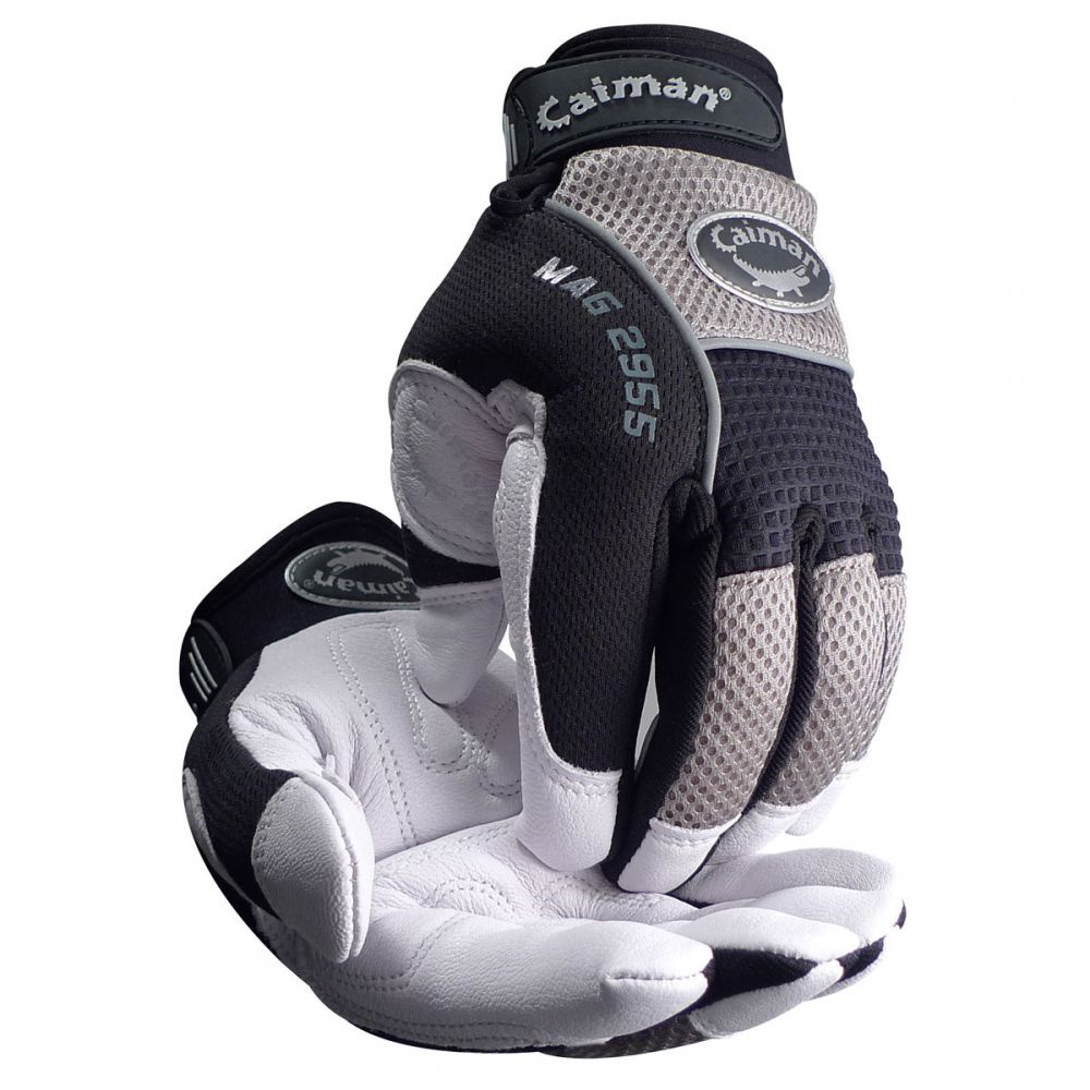 Caiman 2955M