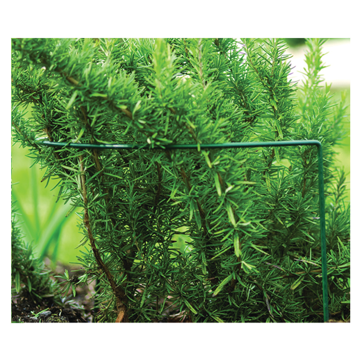 luster leaf 1050 Plant Prop-Up, 40 in L, 16 in W, Green, Vinyl-Coated - 2