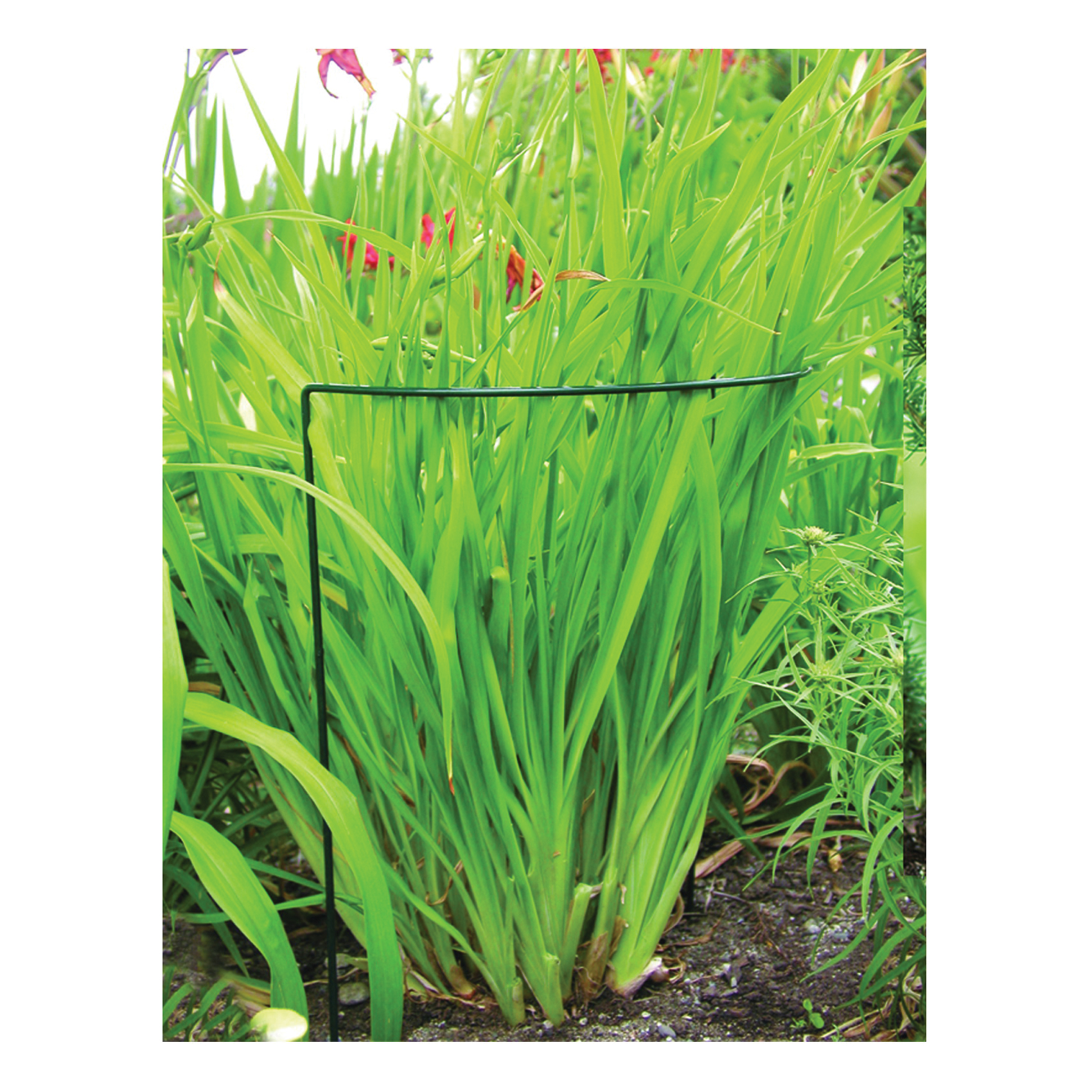 luster leaf 1050 Plant Prop-Up, 40 in L, 16 in W, Green, Vinyl-Coated - 3