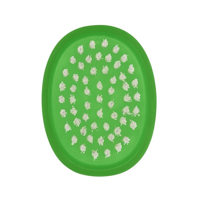 Good Grips 33781 Vegetable Brush, 3.3 in OAL, Nylon Trim, Non-Slip Grip Handle, Nylon Handle - 3