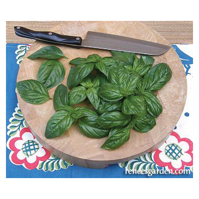 Renee's Garden 5455 Italian Pesto Basil Herb Seed Pack, Basil, Ocimum Basilicum Pack - 2