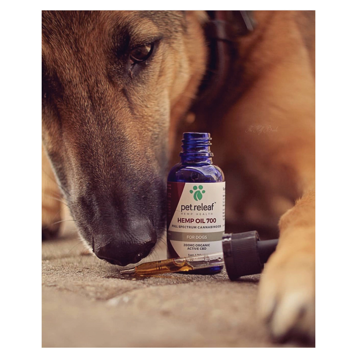 pet.releaf PR-H300 Hemp Oil, M, S Breed, 200 mg - 2