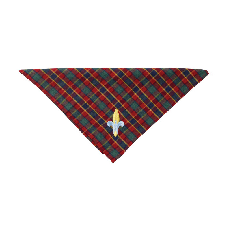 Boy Scouts Of America 64077