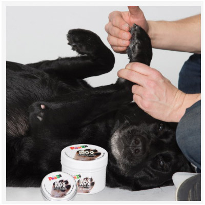 PawZ PWZ-MAXWAX-60 Wax Max, 60 g Jar - 2