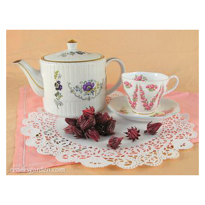 Renee's Garden 5867 Zinger Hibiscus Herb Seed Pack, Herbal Tea, Hibiscus Sabdariffa, April to May, March Planting - 3
