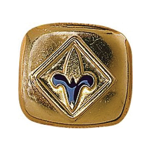 Boy Scouts Of America 891