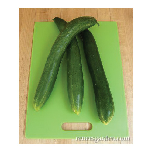 Renee's Garden 3065 Tasty Treat Slicer Vegetable Seed Pack, Cucumber, April to June Planting Pack - 2