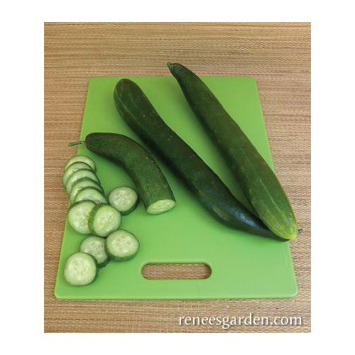 Renee's Garden 3065 Tasty Treat Slicer Vegetable Seed Pack, Cucumber, April to June Planting Pack - 3