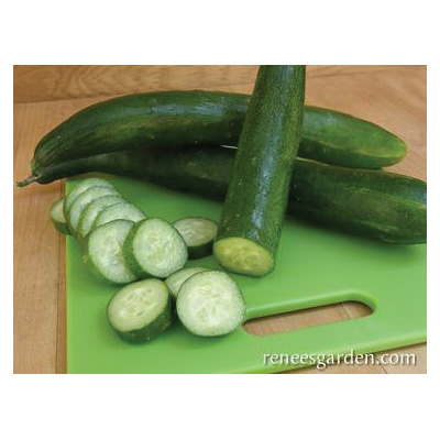 Renee's Garden 3065 Tasty Treat Slicer Vegetable Seed Pack, Cucumber, April to June Planting Pack - 4