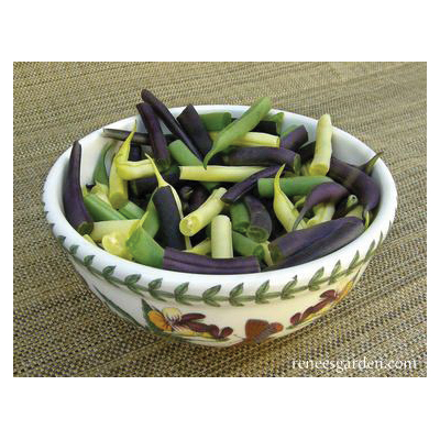 Renee's Garden 5550 Vegetable Seed Pack, Beans, April to June, May to June Planting Pack - 2