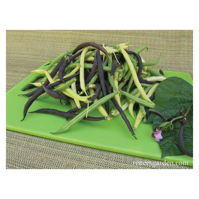 Renee's Garden 5550 Vegetable Seed Pack, Beans, April to June, May to June Planting Pack - 3