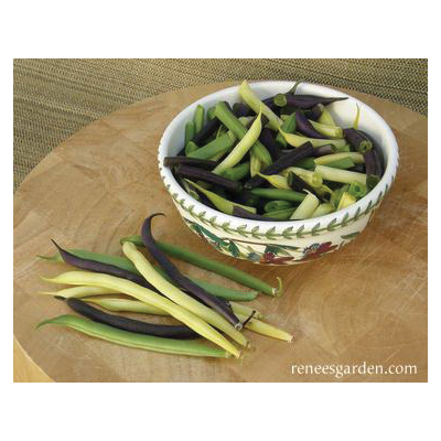 Renee's Garden 5550 Vegetable Seed Pack, Beans, April to June, May to June Planting Pack - 4