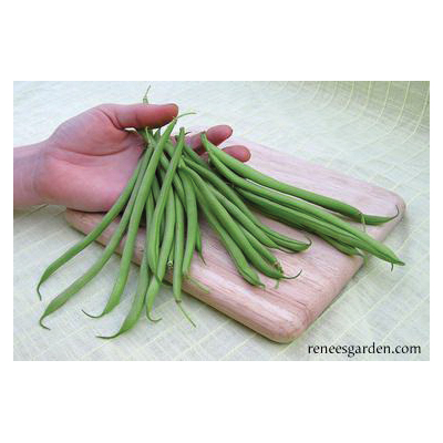 Renee's Garden 5552 Rolande Vegetable Seed Pack, Beans, April to June, May to June Planting Pack - 2