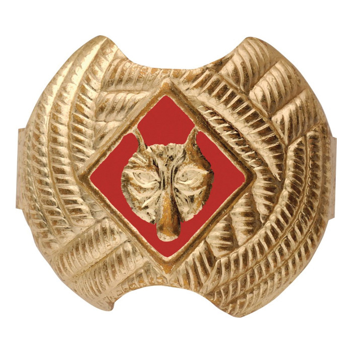Boy Scouts Of America 80000