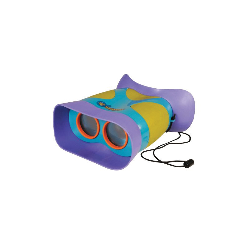 Educational Insights 5260