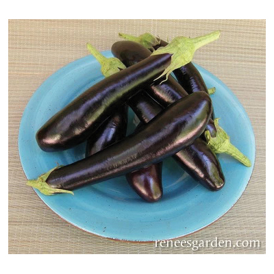 Renee's Garden 3081 Violetta Lunga Eggplant, Eggplant, Solanum Melongena - 2