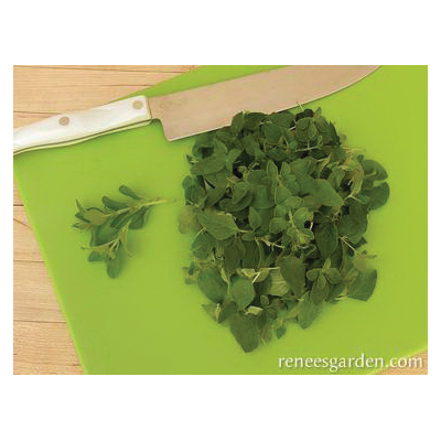 Renee's Garden 5945 Herb Seed Pack, Oregano, Origanum Heracleoticum, March to June Planting Pack - 2