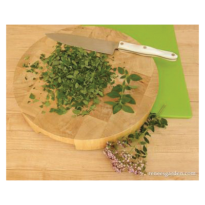Renee's Garden 5945 Herb Seed Pack, Oregano, Origanum Heracleoticum, March to June Planting Pack - 5