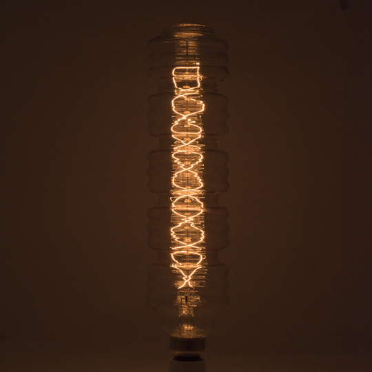 Bulbrite 137501 Incandescent Bulb, 60 W, Medium E26 Lamp Base, 160, 2200 K Color Temp, Amber, 3000 hr Average Life - 3